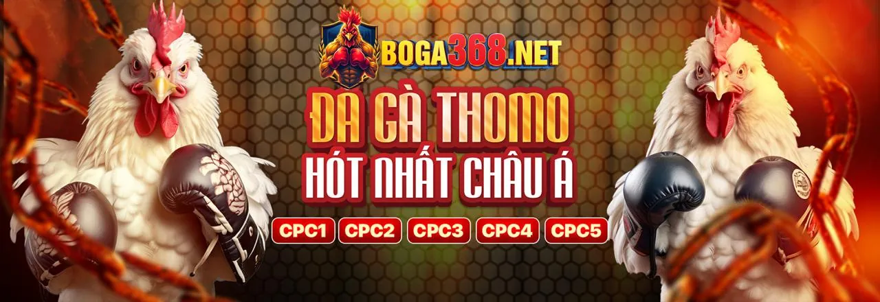 Banner khuyến mãi rr8811 app